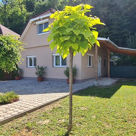 Vila Vizparti Nyaralo Fonyód Exteriér fotografie