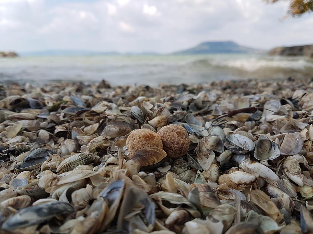 Vila Vizparti Nyaralo Fonyód Exteriér fotografie